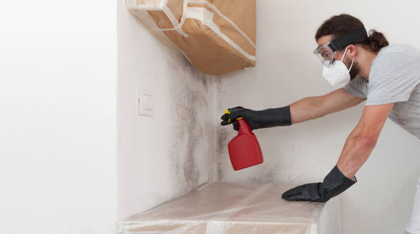 Professional Mold Removal technician working in Woodland, PA