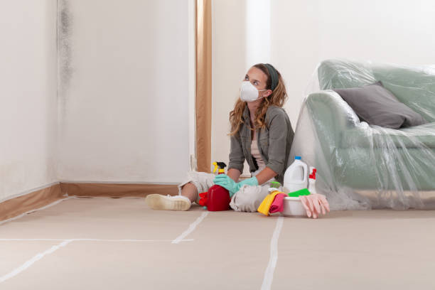 Reliable Mold Cleanup contractor in Woodland, PA by Cheap Mold Removal