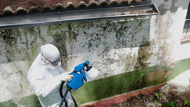 Trusted Mold Removal service in Woodland, PA - Cheap Mold Removal